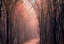 巴利亚多利德vs西班牙人实时比分是多少?这场比赛有哪些关键看点?